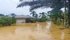 Perkembangan Situasi dan Penanganan Bencana Tanggal 1 Maret 2025